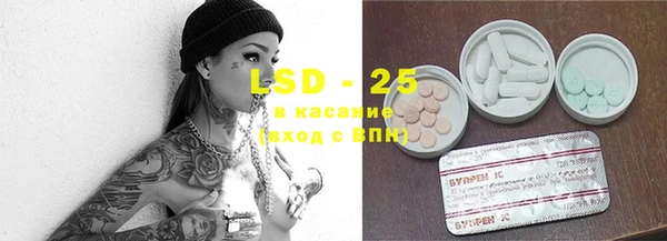стафф Алексин
