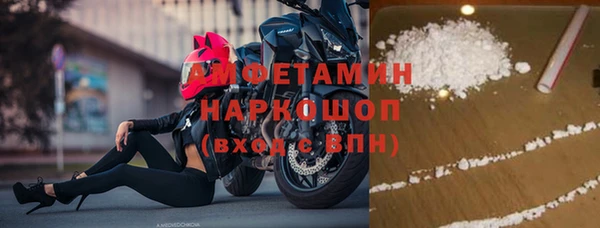 ECSTASY Алзамай
