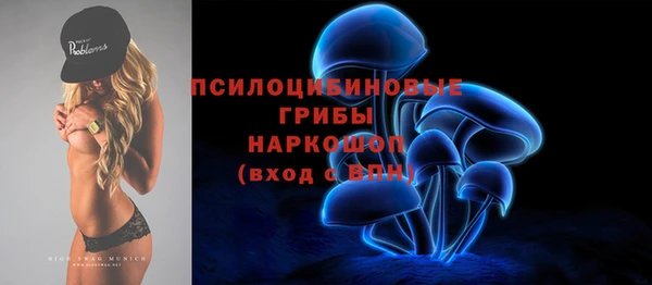 ECSTASY Алзамай
