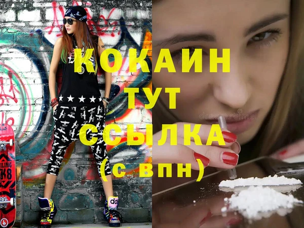стафф Алексин