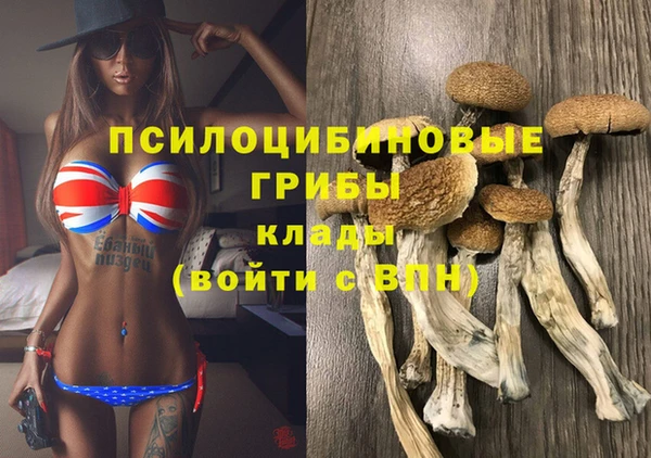 стафф Алексин