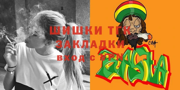 стафф Алексин