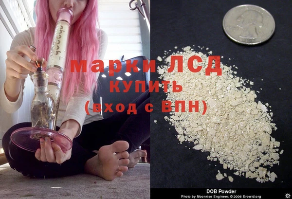 стафф Алексин