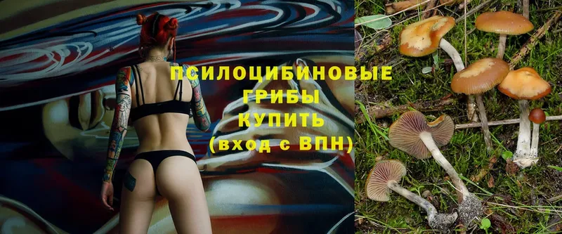 купить закладку  блэк спрут tor  Псилоцибиновые грибы MAGIC MUSHROOMS  Лахденпохья 